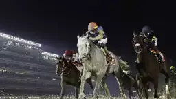 Dubai World Cup başlıyor! 30,5 milyon dolarlık dev yarış