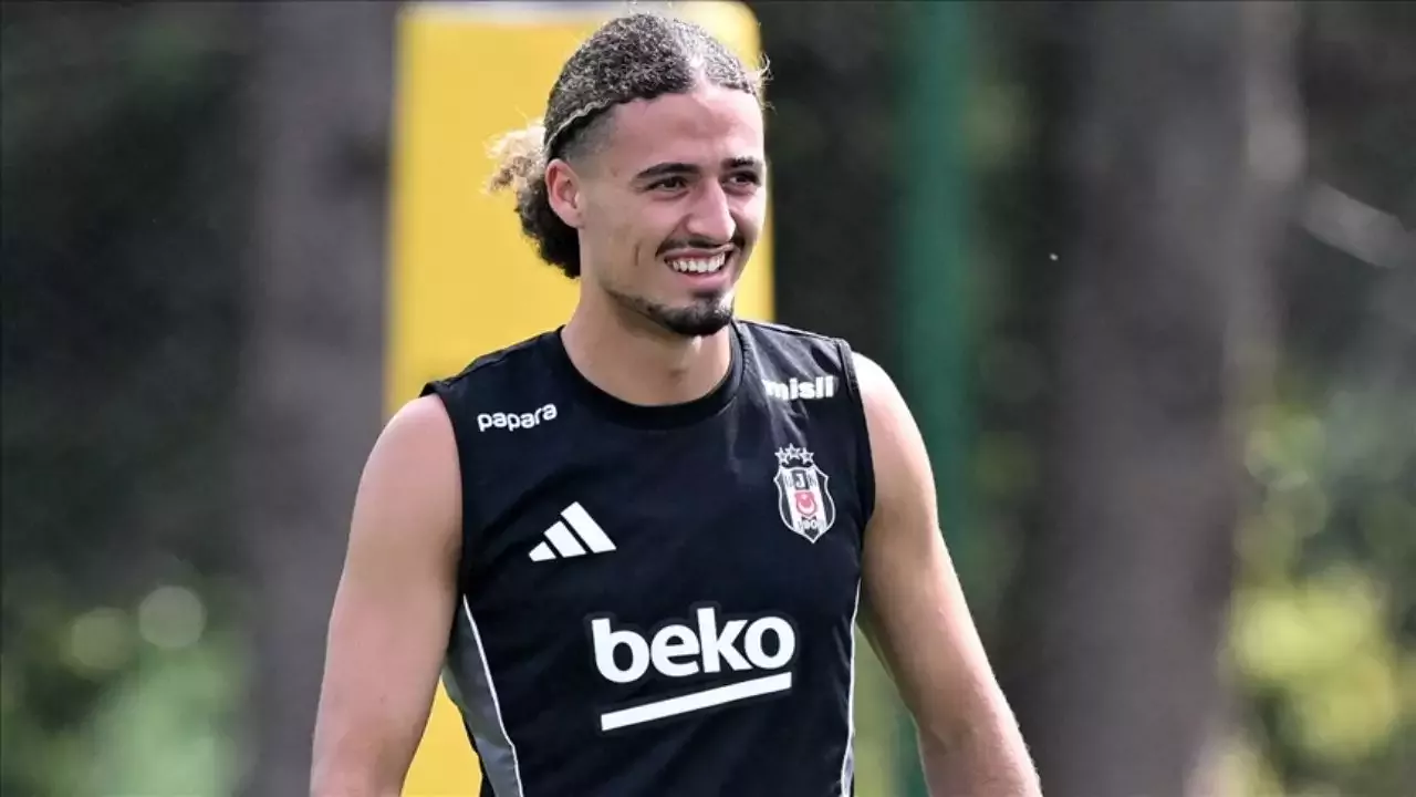 Taylan Bulut