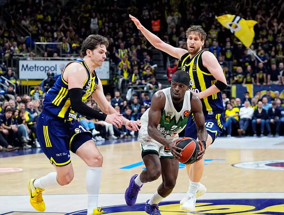Tarık Biberovic