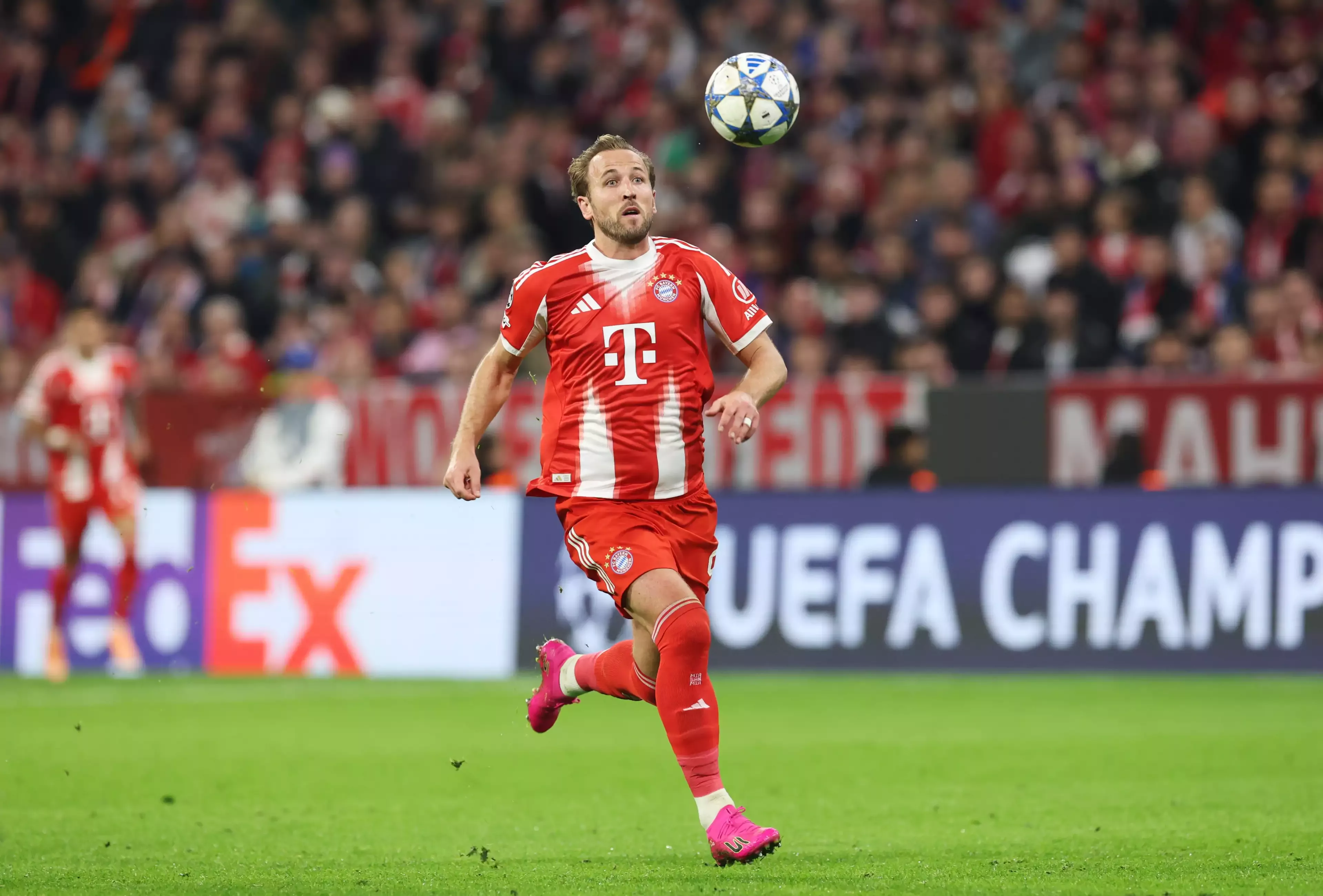 Harry Kane