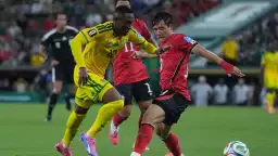 (ÖZET) Güney Afrika - Güney Kore | Maç Sonucu: 1-0
