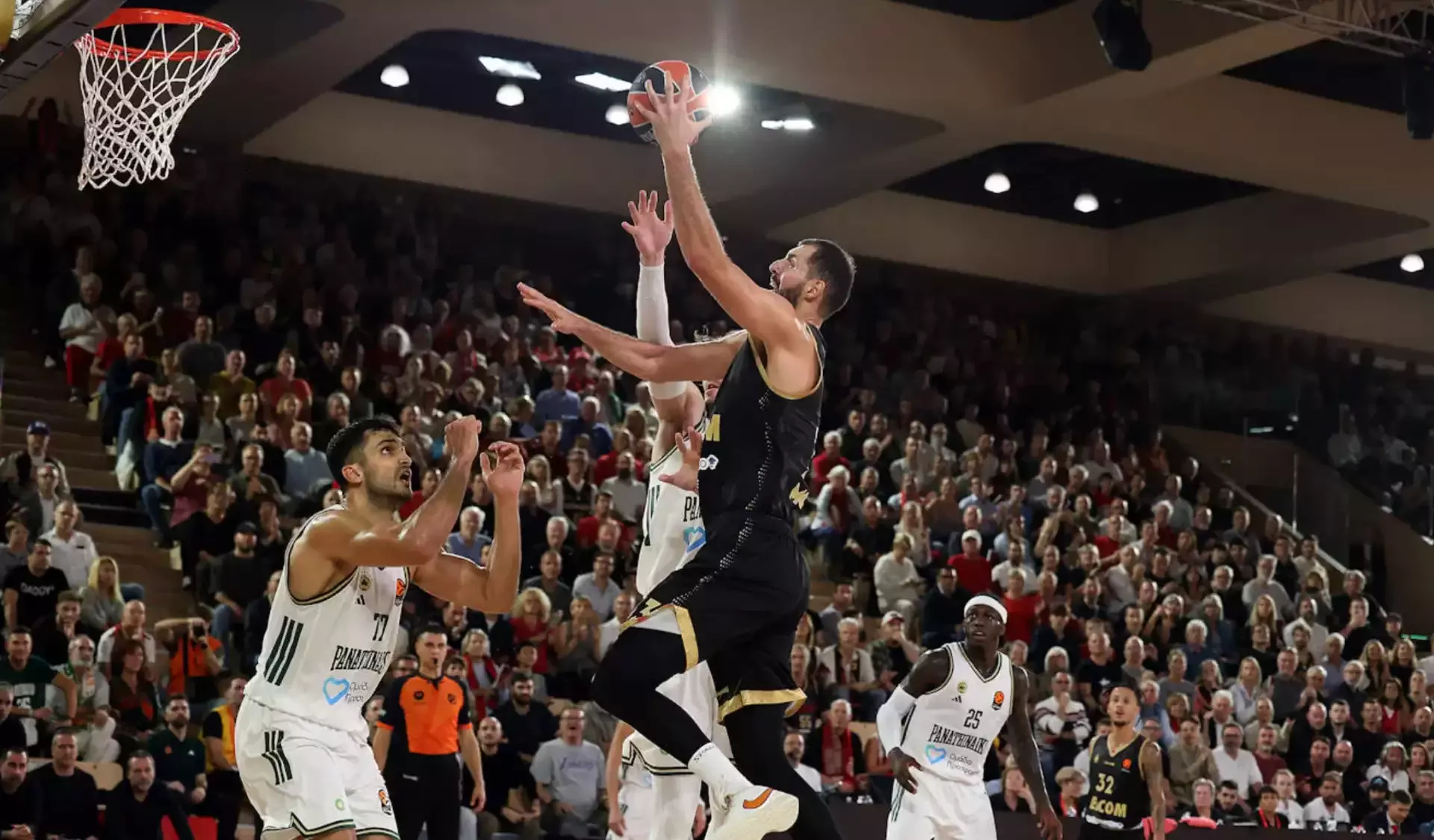 Nikola_Mirotic_