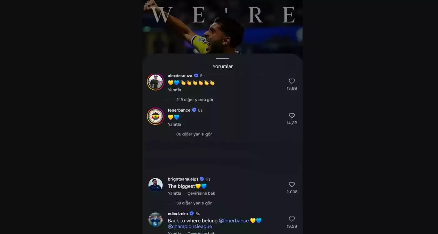 Edin Dzeko'nun Fenerbahçe yorumu