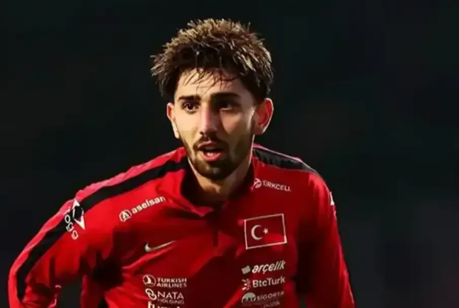 dEMİR_Ege_tıknaz_