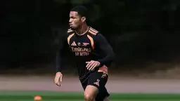 Fenerbahçe'ye Nwaneri'den de kötü haber geldi...