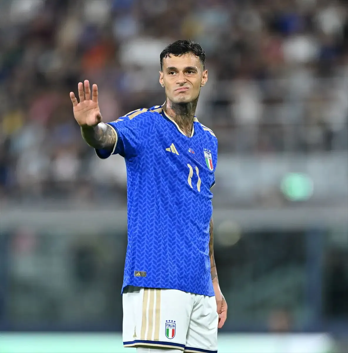 Gianluca Scamacca&nbsp;