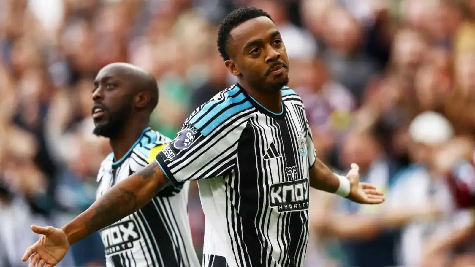 Serdal Adalı transfer edeceklerini duyurmuştu! Willock'un hocasından kötü haber