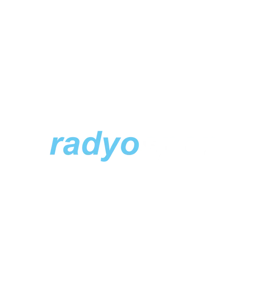 Programcı