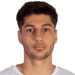 Mohammad Mehdi Mohebi