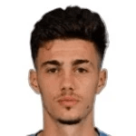 Nikola Mituljikic