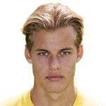 Joel van der Wilt