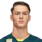 Salko Hamzic