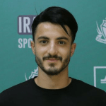 Mohammadmehdi Lotfi