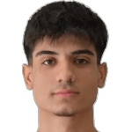 Doğanay Avcı