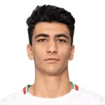 Amirmohammad Razzaghinia