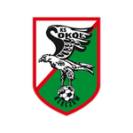 Sokół Kleczew