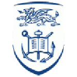 Swansea University