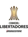 Copa Libertadores
