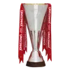 İngiltere EFL Trophy