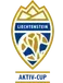 Lihtenştayn Kupası