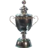 Suudi Arabistan Saudi Pro League